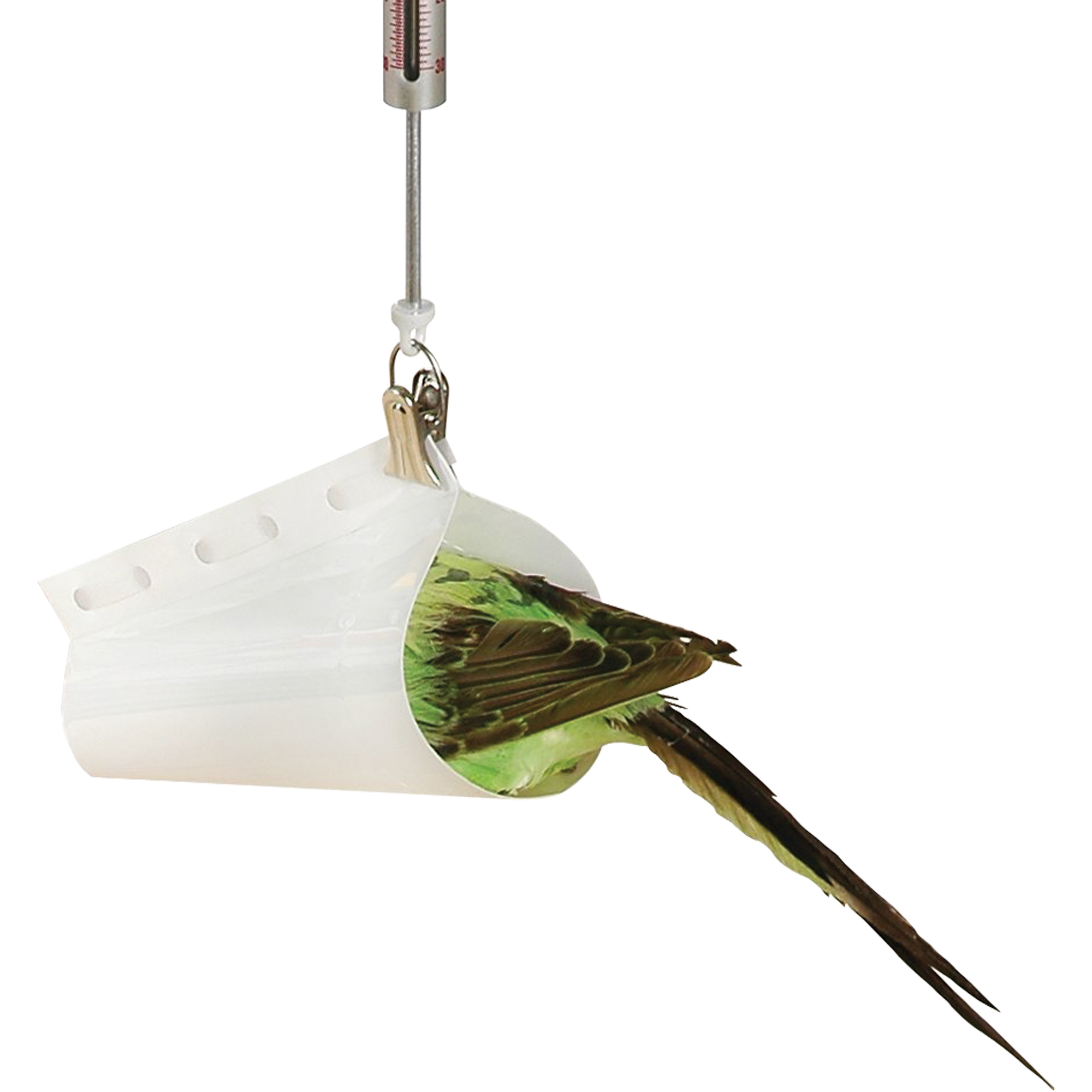 Accessoire pour balance à ressort Micro - entonnoir à peser les oiseaux