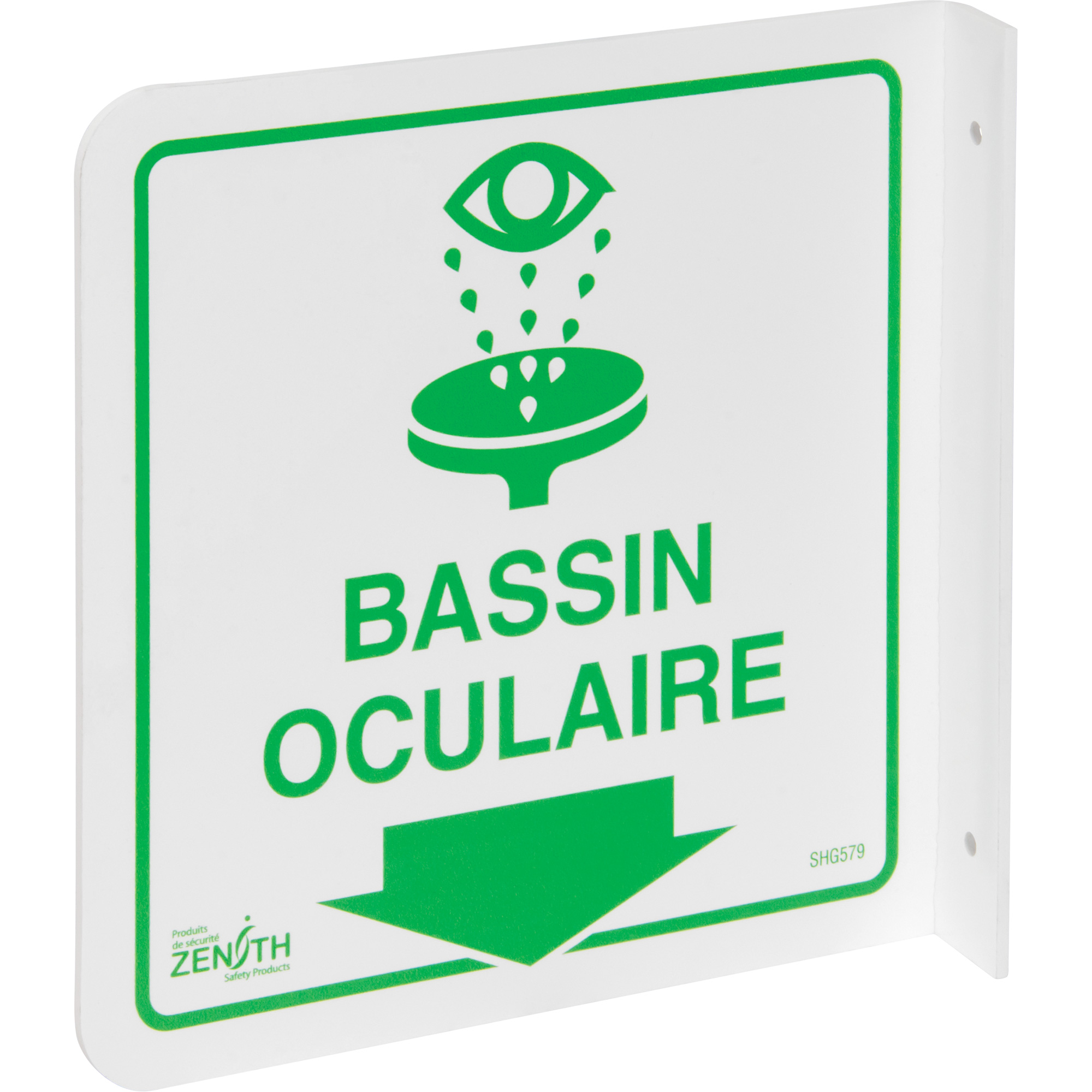 Enseigne à projection sur 90° « Bassin Oculaire », 8" x 8", Plastique, Français avec pictogramme