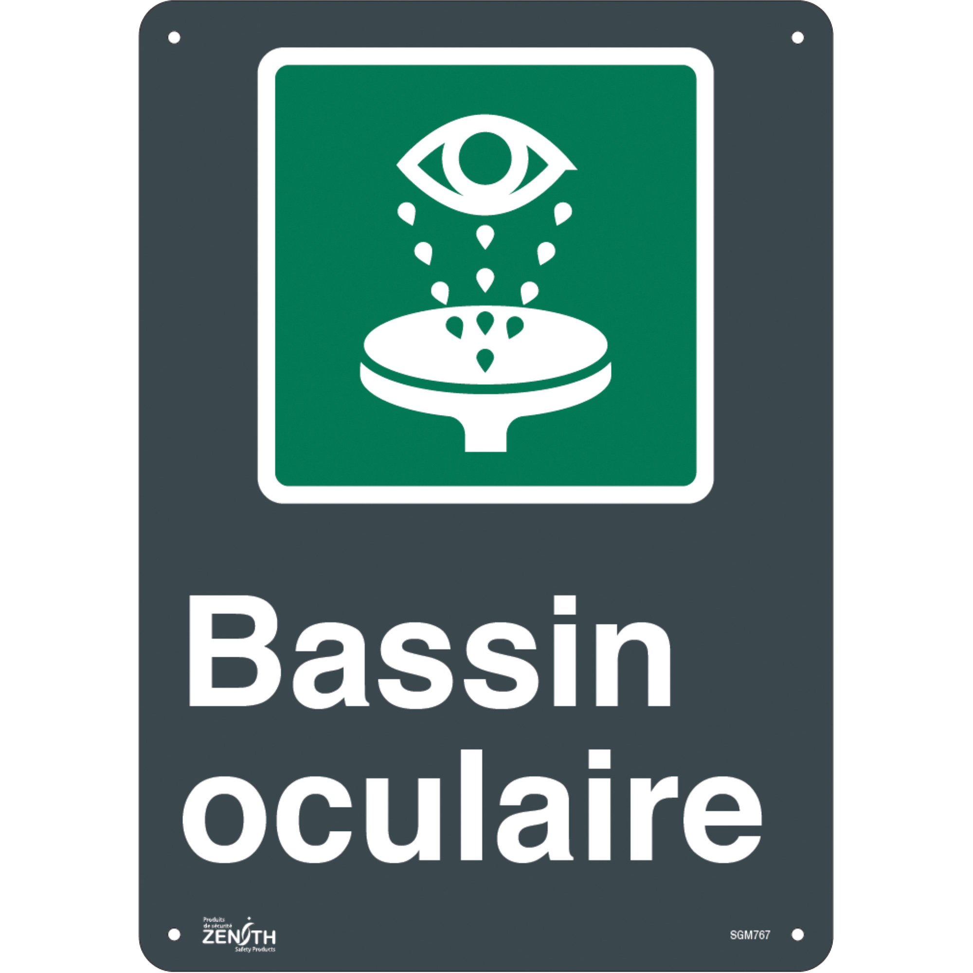 Enseigne «Bassin Oculaire», 14" x 10", Plastique, Français avec pictogramme
