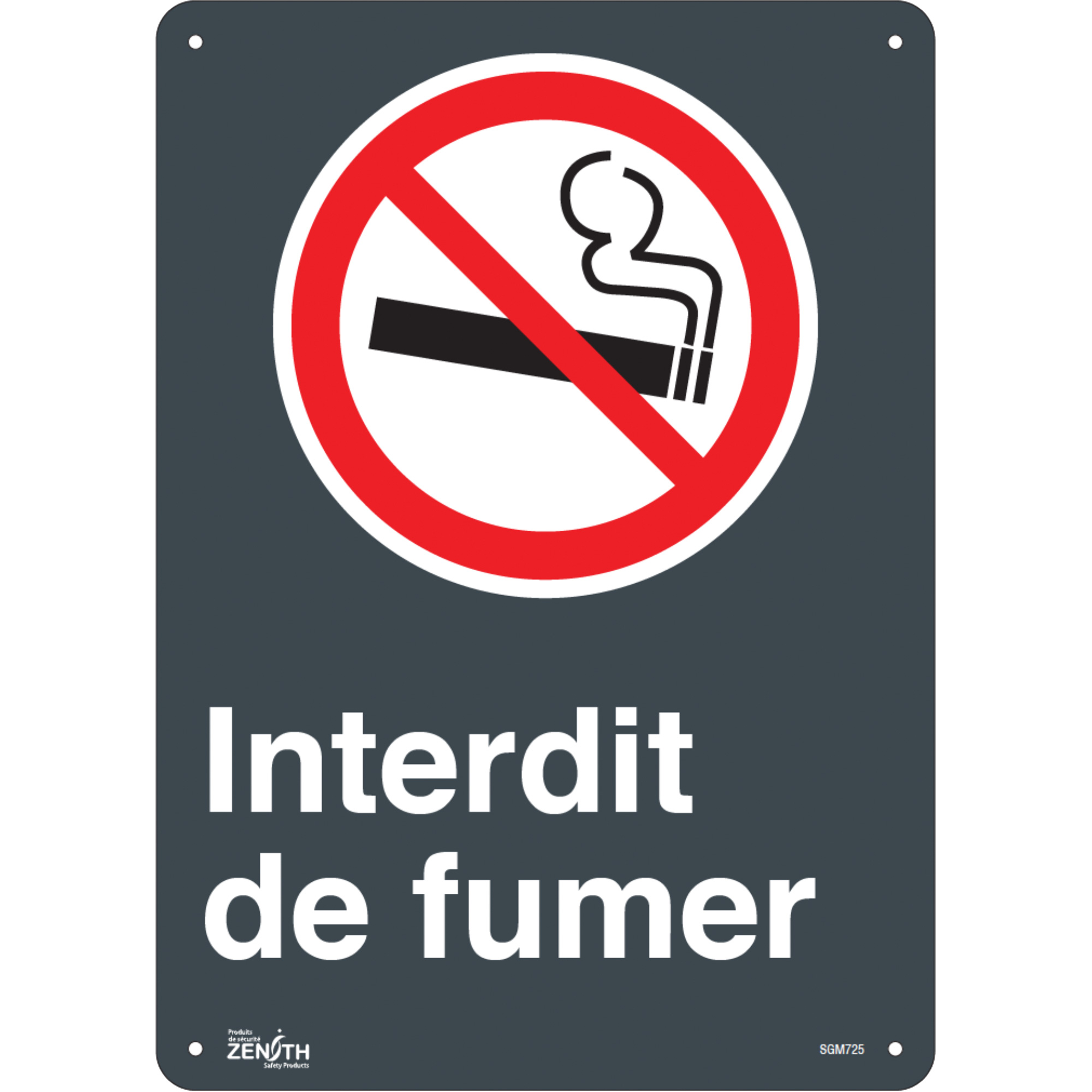 Enseigne «Interdit De Fumer», 14" x 10", Plastique, Français avec pictogramme