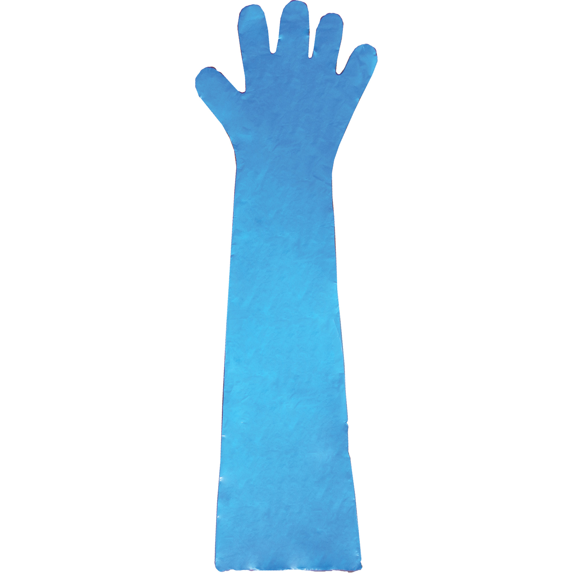 Gants jetables en latex, Gants jetables, Gants jetables en vinyle, Polyéthylène, Sans poudre, Bleu