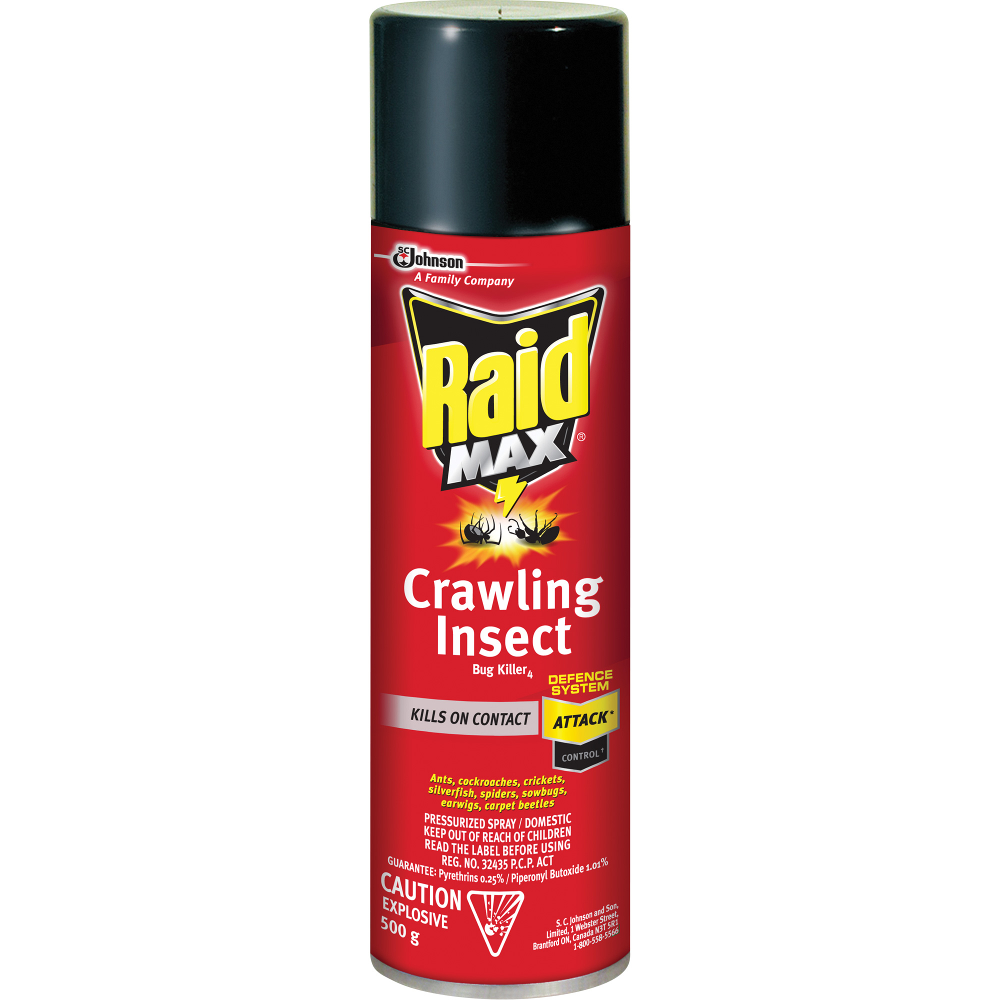 Insecticide contre les insectes rampants RaidMD MaxMD, 500 g, Canette aérosol, À base de solvant