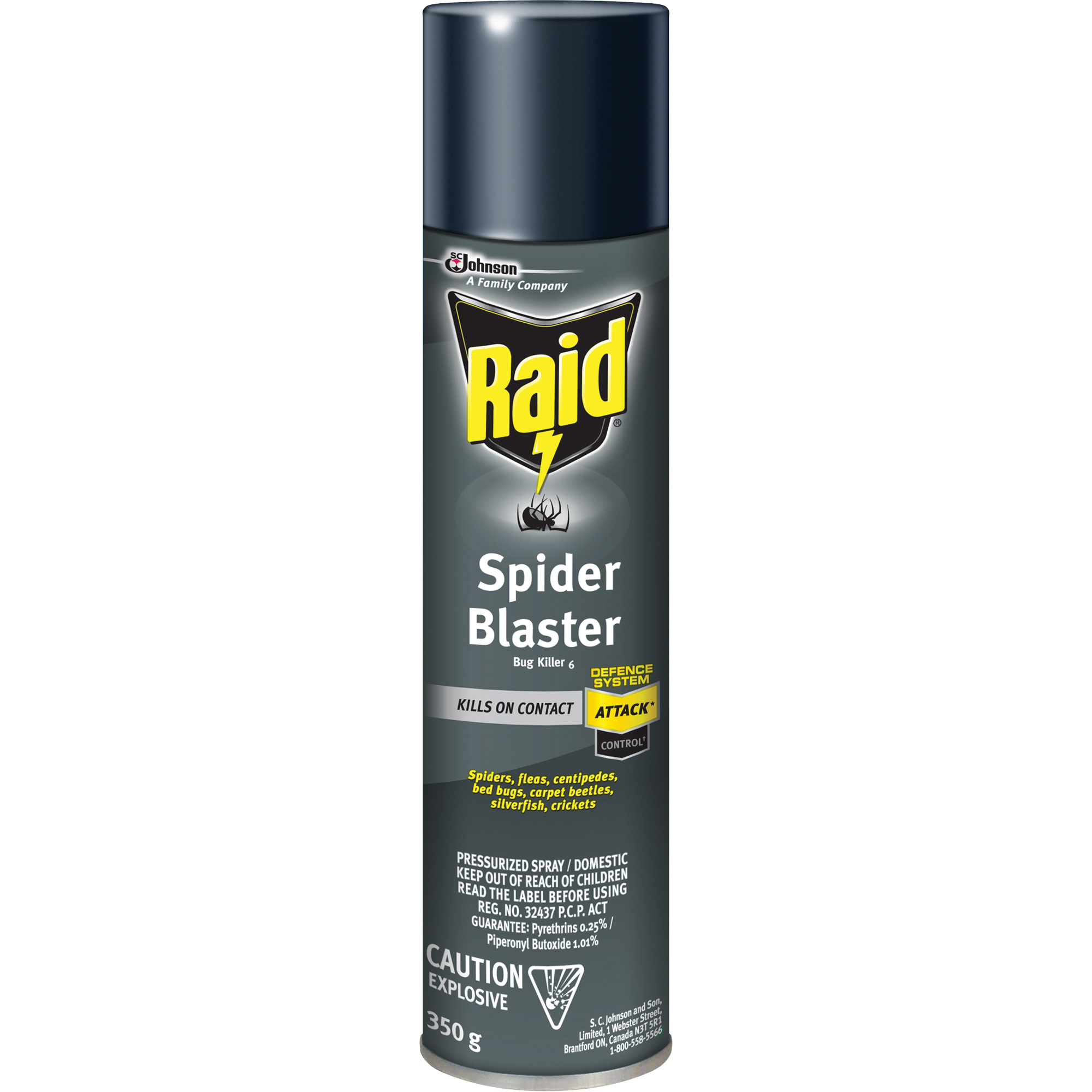 Insecticide exterminateur d’araignées RaidMD, 350 g, Canette aérosol, À base de solvant