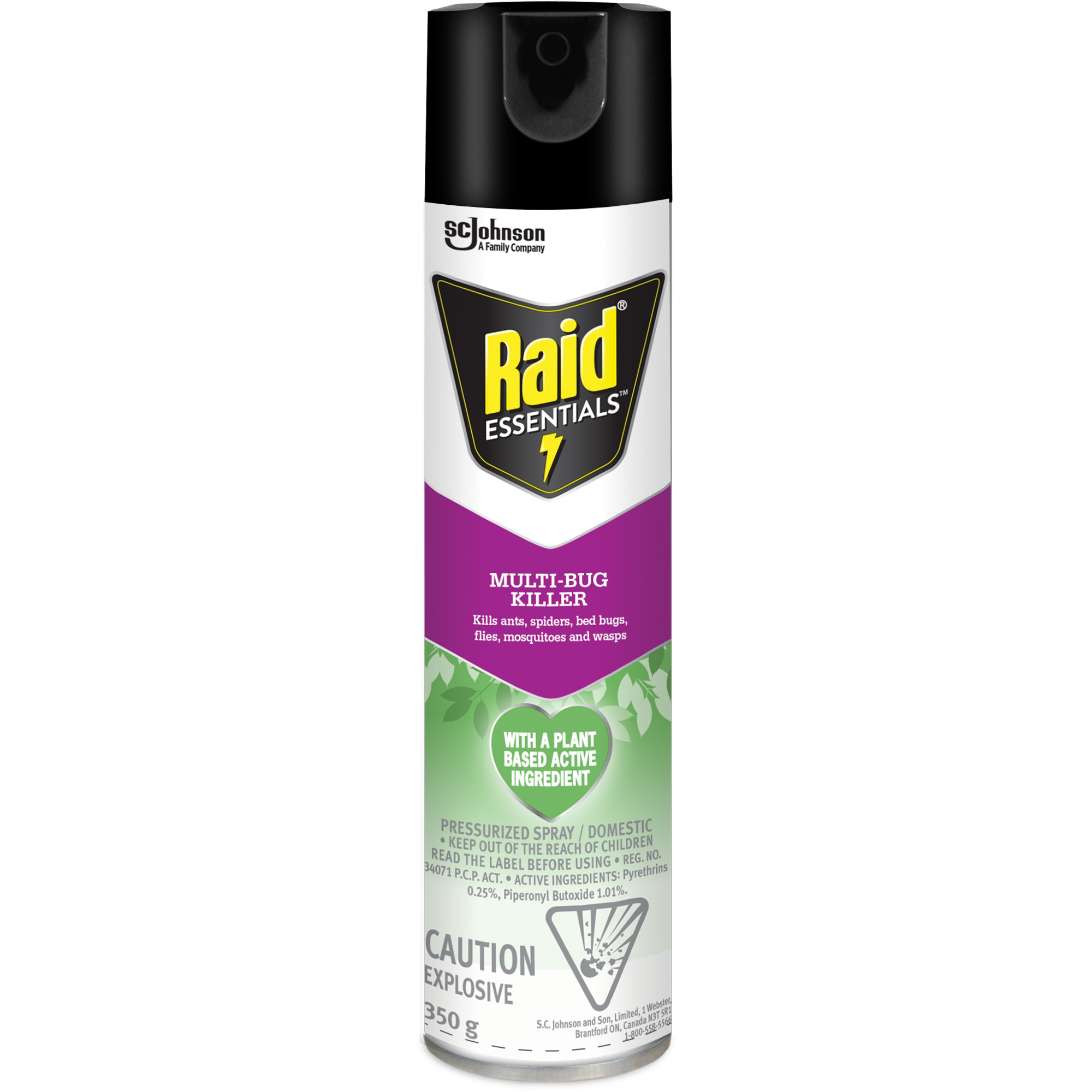 Insecticide polyvalent EssentialsMC RaidMD, 350 g, Canette aérosol