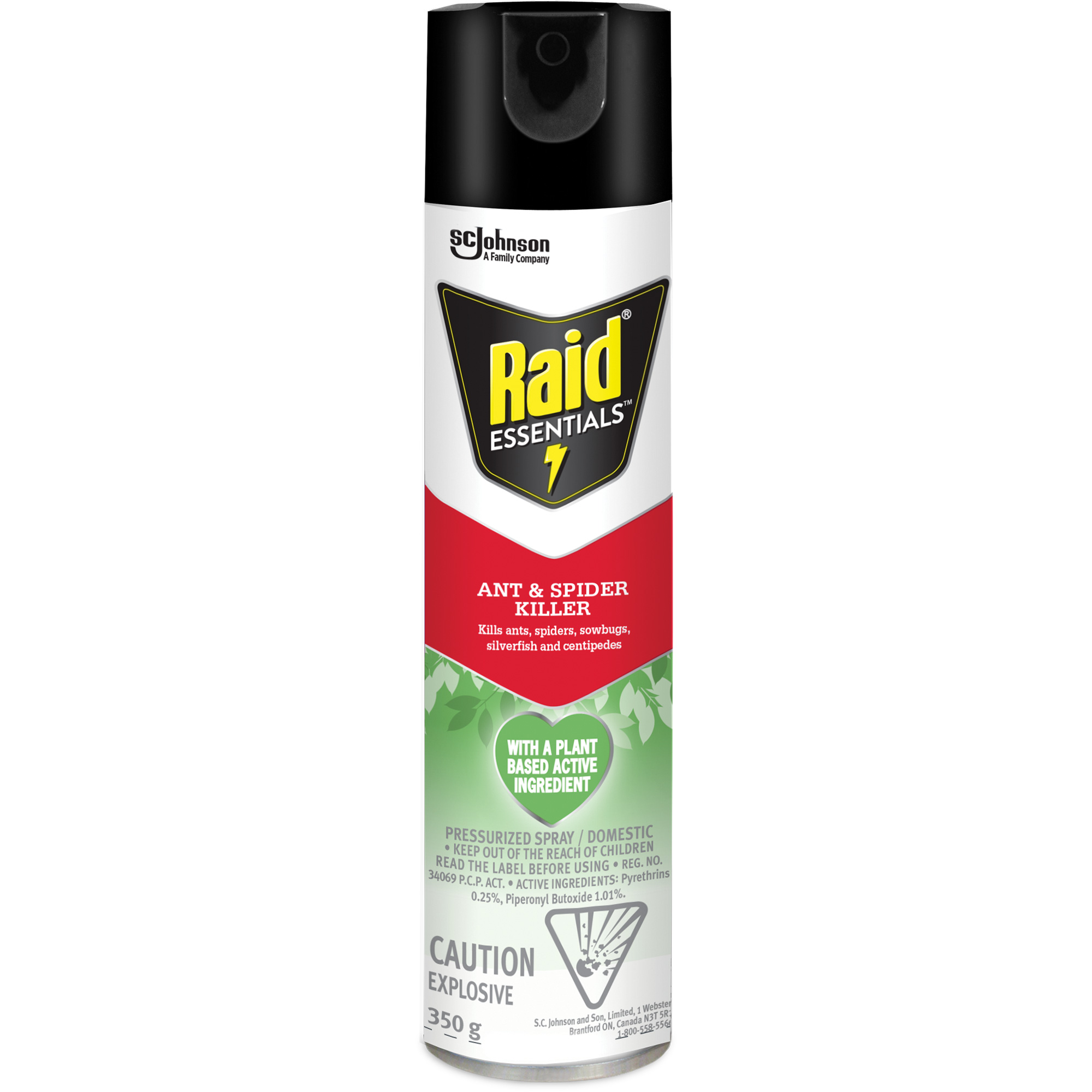 Insecticide pour araignées et fourmis EssentialsMC RaidMD, 350 g, Canette aérosol