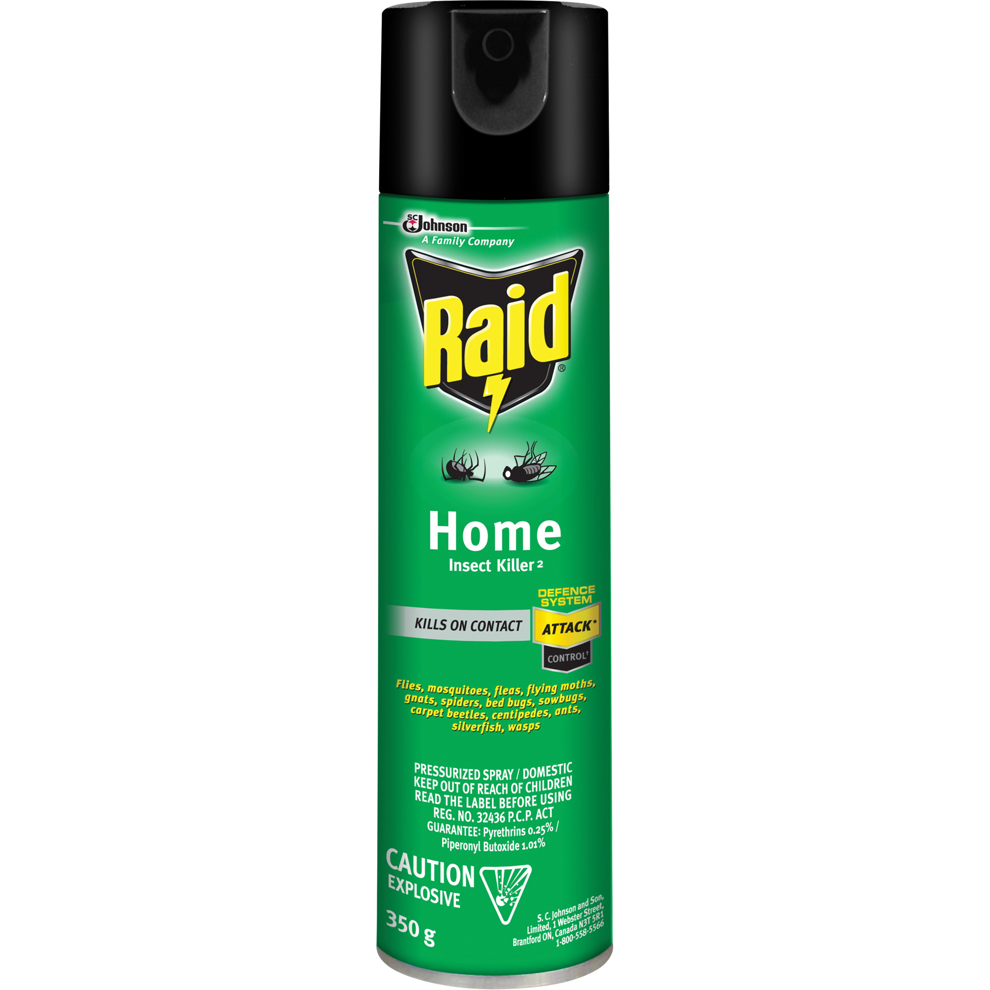 Insecticide pour insectes domestiques RaidMD, 350 g, À base de solvant