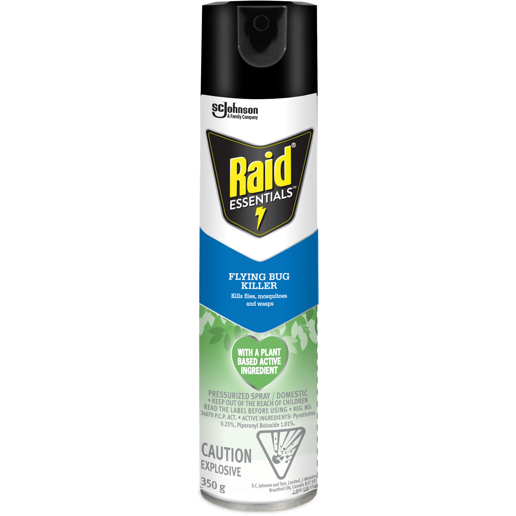 Insecticide pour insectes volants EssentialsMC RaidMD, 350 g, Canette aérosol