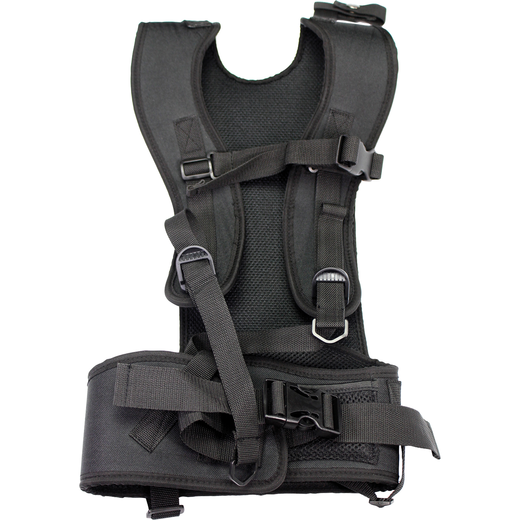Courroies dorsales de transport en nylon
