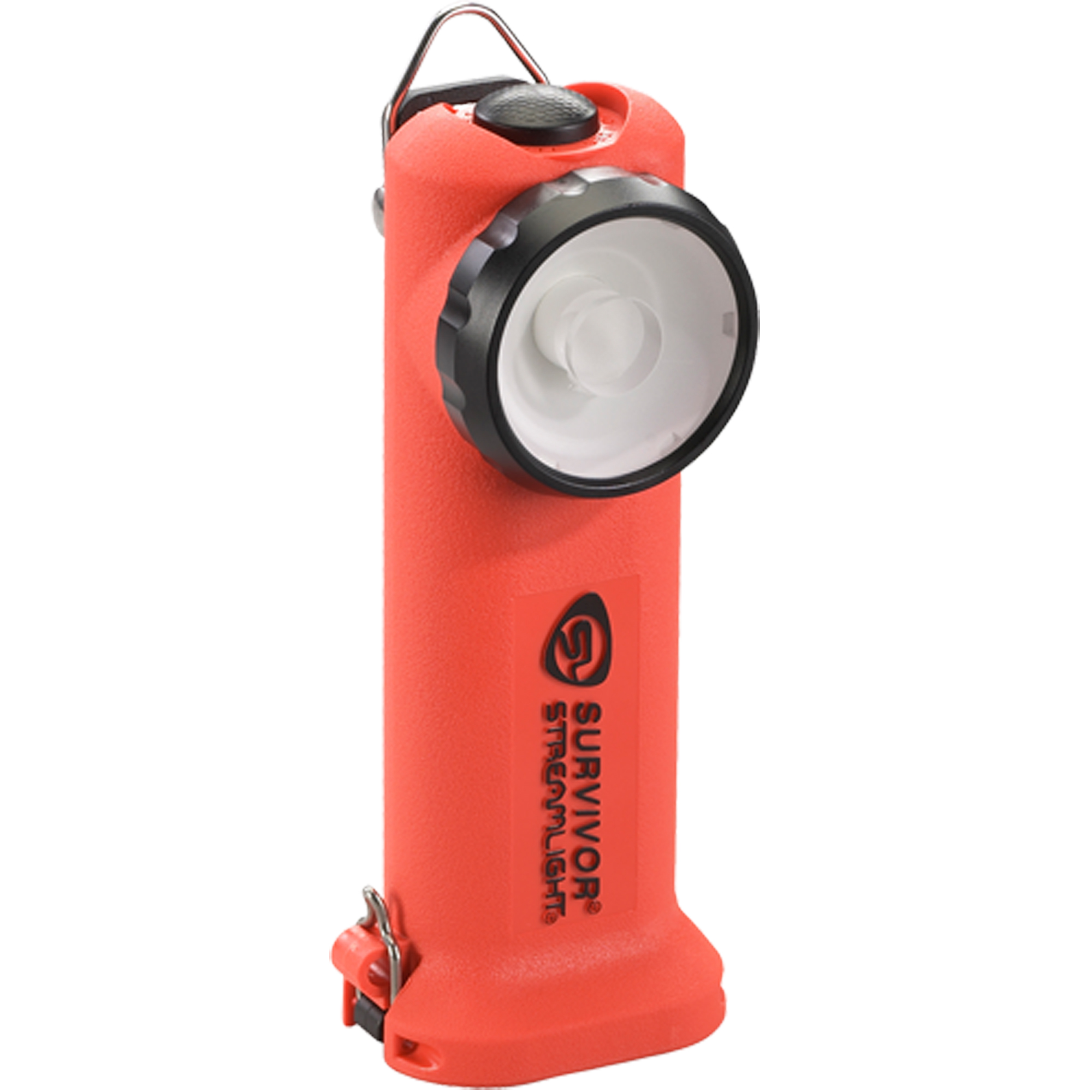 Lampe de poche SurvivorMD, DEL, 175 lumens, Piles AA