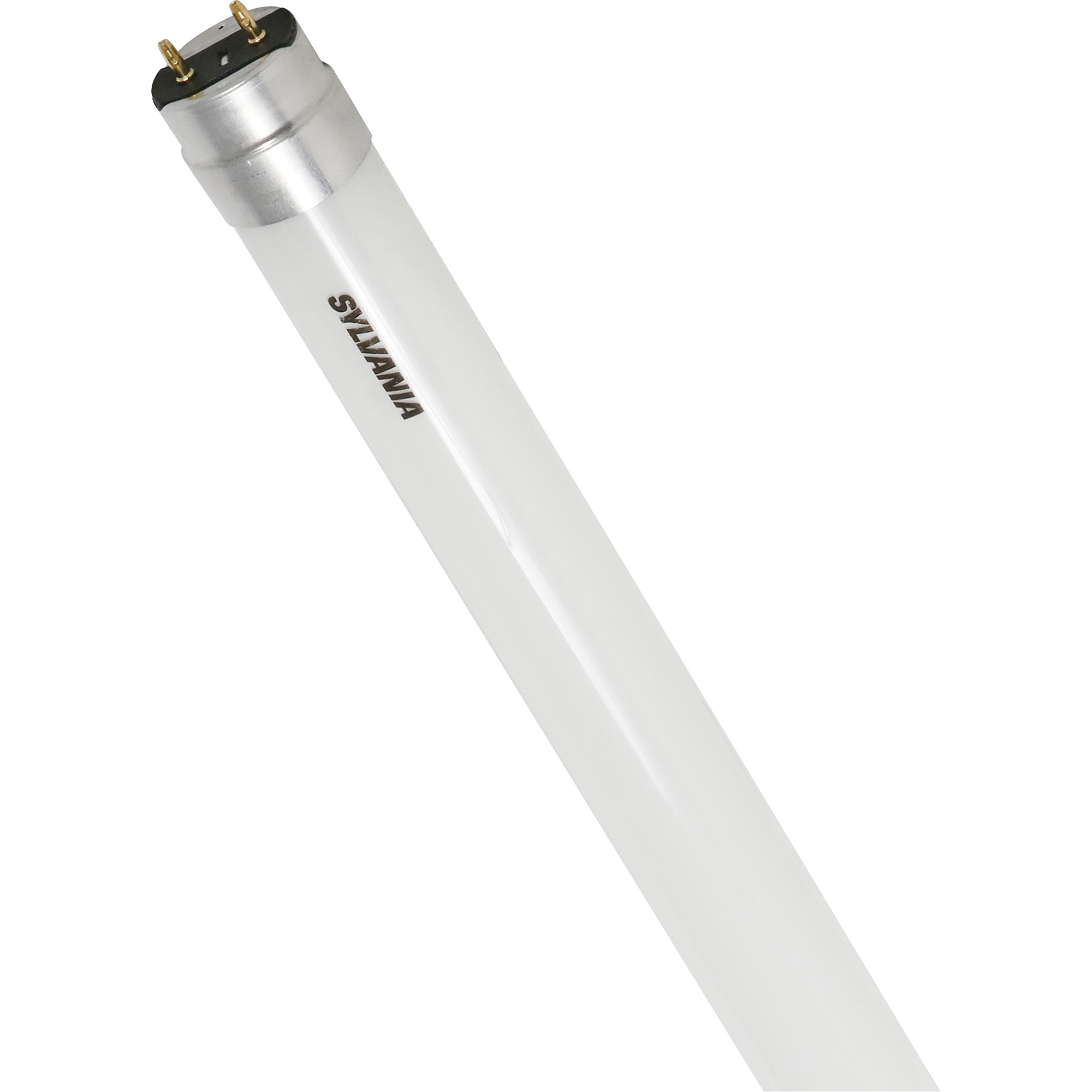 Ampoule DEL en verre givré SubstiTUBEMD, 12 W, T8, 5000 K, 48" l
