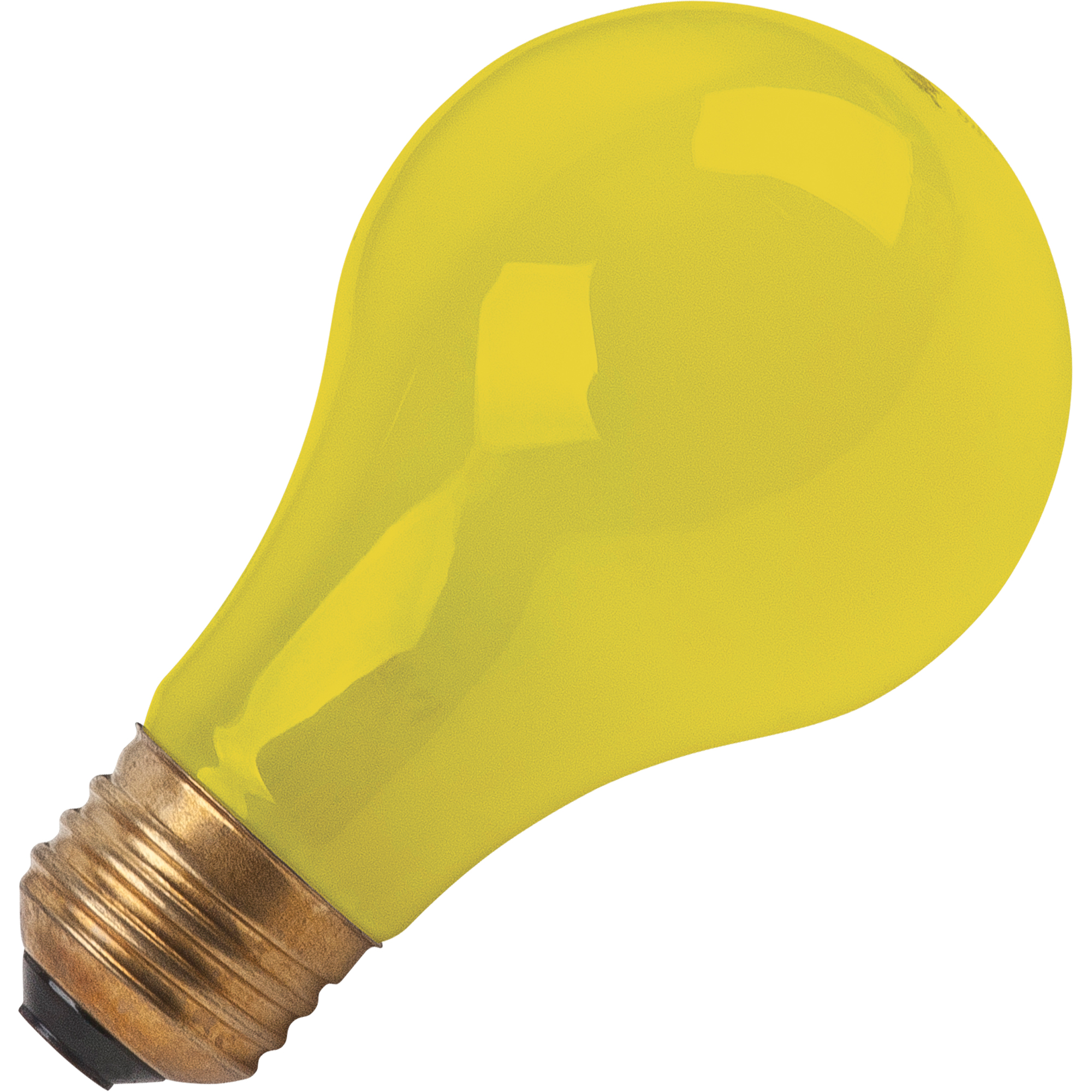 LAMPE INCANDESCENTE,BUG-LITE,60W,120V,2/PQT