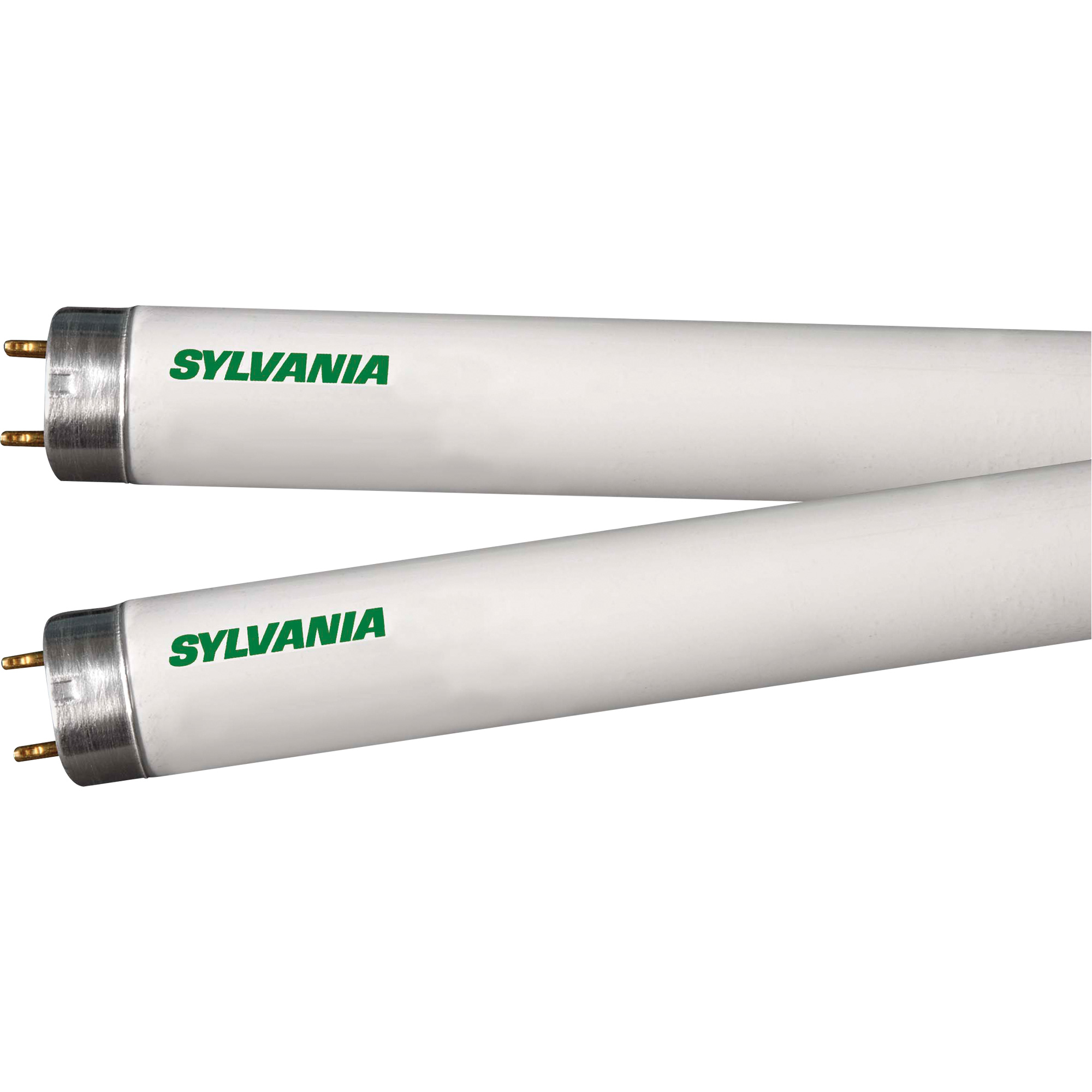 Lampes fluorescentes, 32 W, T8, 4100 K, Longueur de 48"