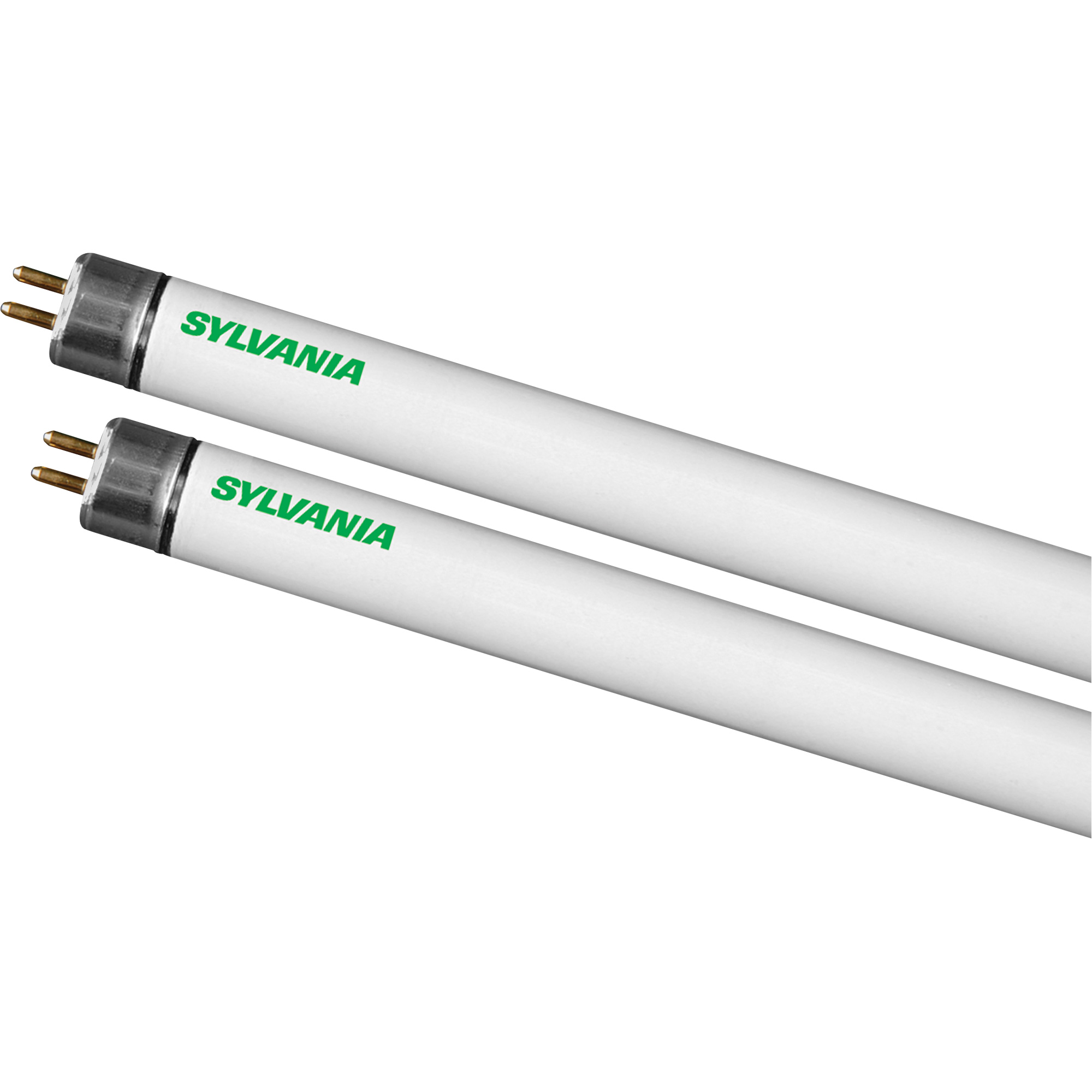 Lampes fluorescentes PENTRONMD ECOLOGIC, 54 W, T5, 4100 K, Longueur de 48"