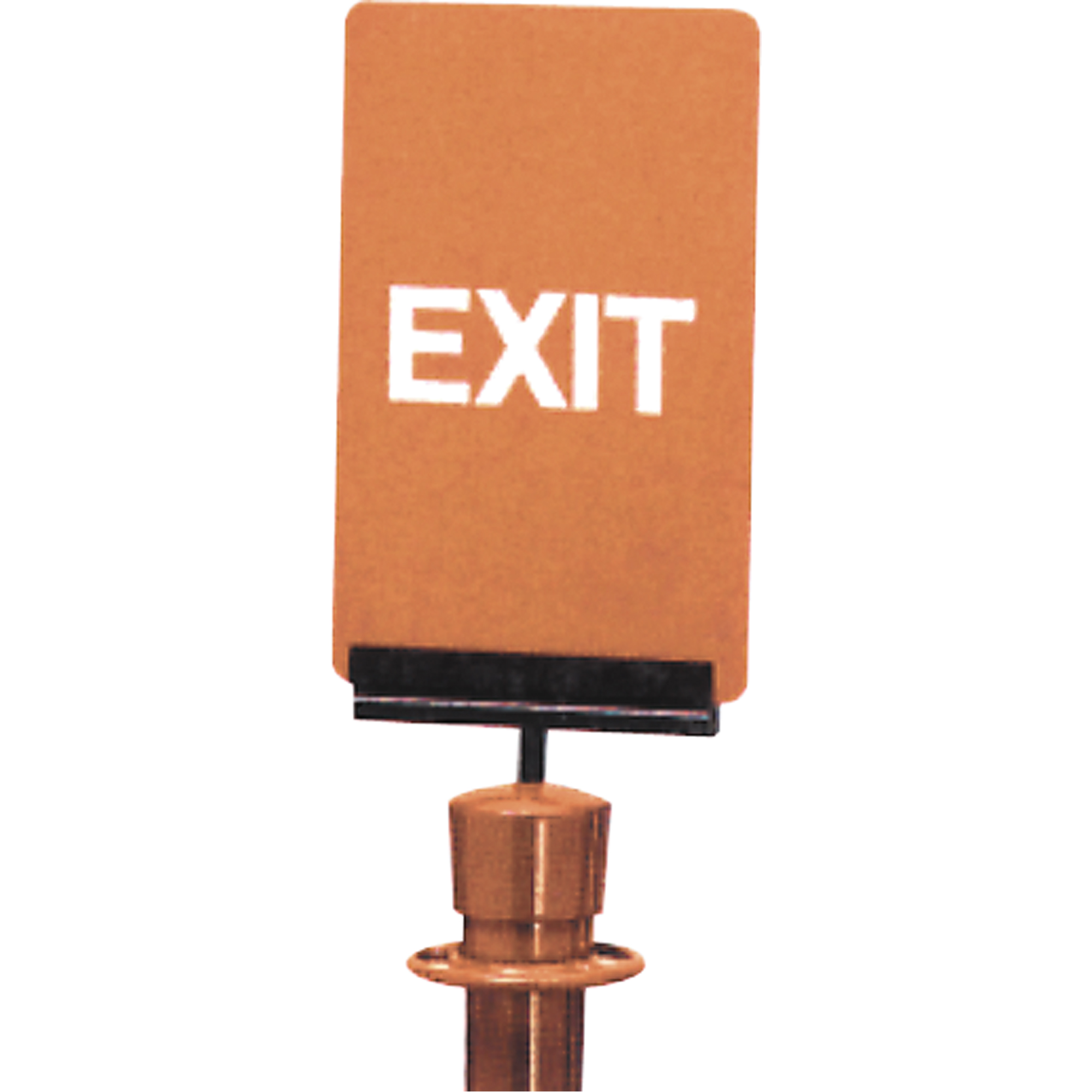 Enseigne de contrôle des foules « Exit », 11" x 7", Plastique, Anglais