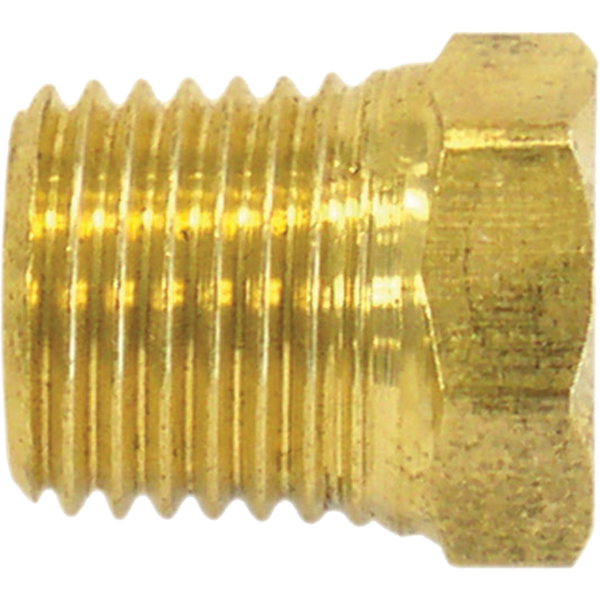 Bouchon de tuyau (tête hexagonale), 1/2" dia., Laiton