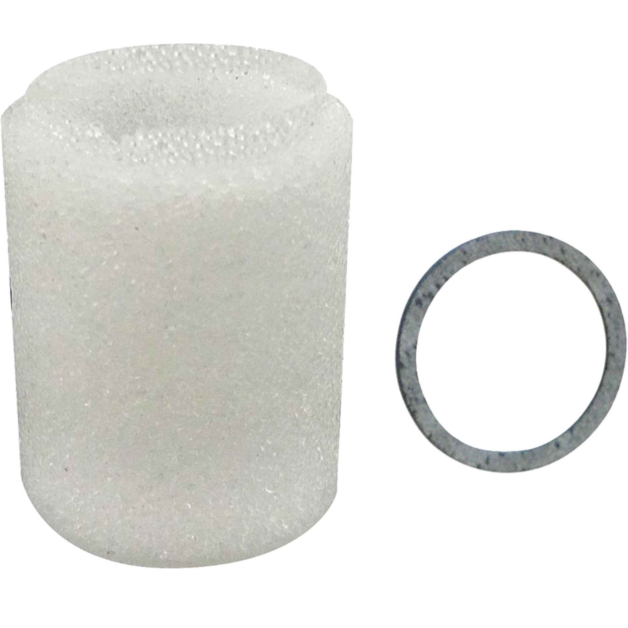 Filtre/régulateur - élément filtrant, 3/8" NPTF, Drain Manuel