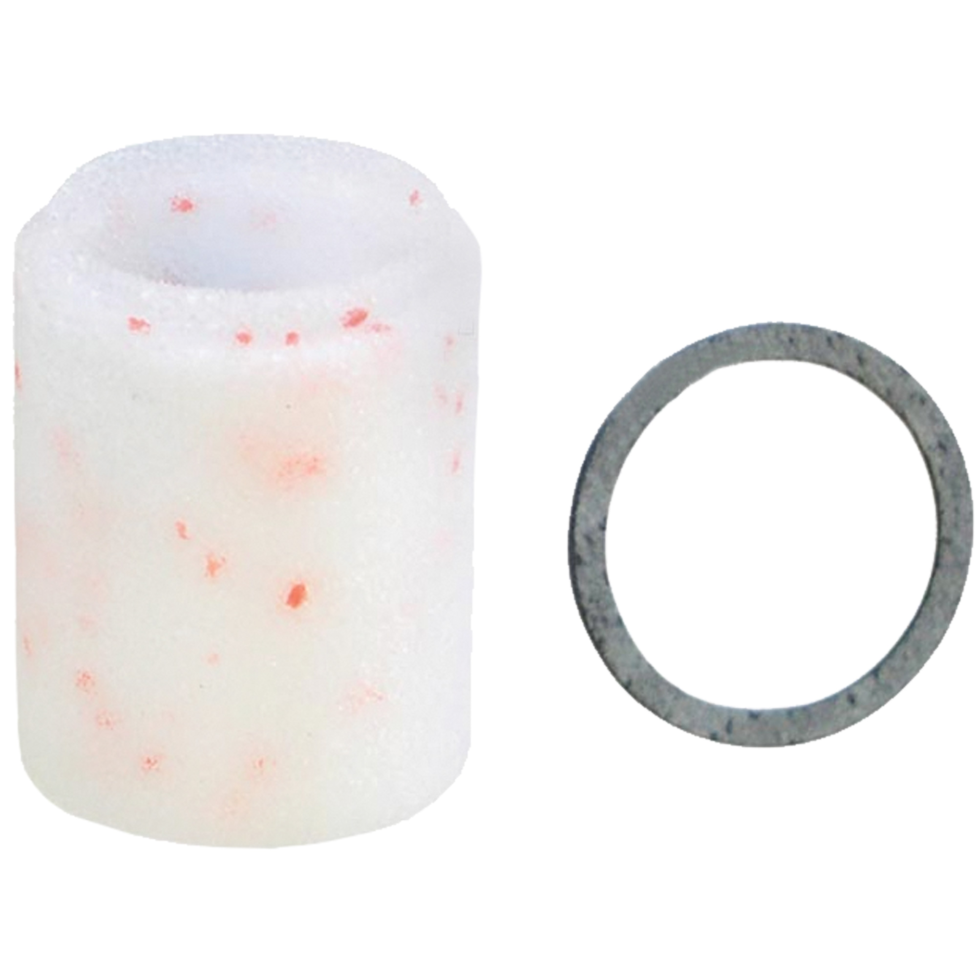 Filtre/régulateur - élément filtrant, 3/8" NPTF, Drain Manuel