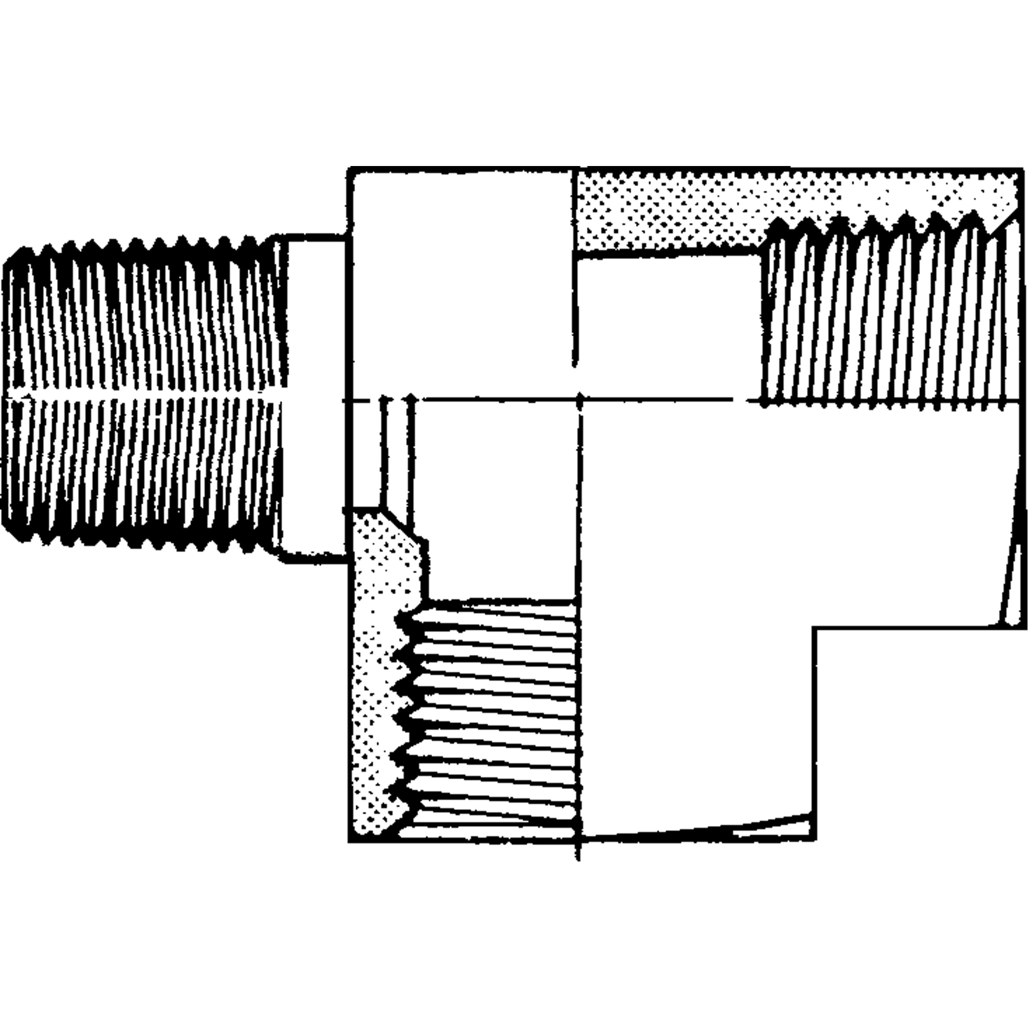 Tés mâles-femelles – Image 2