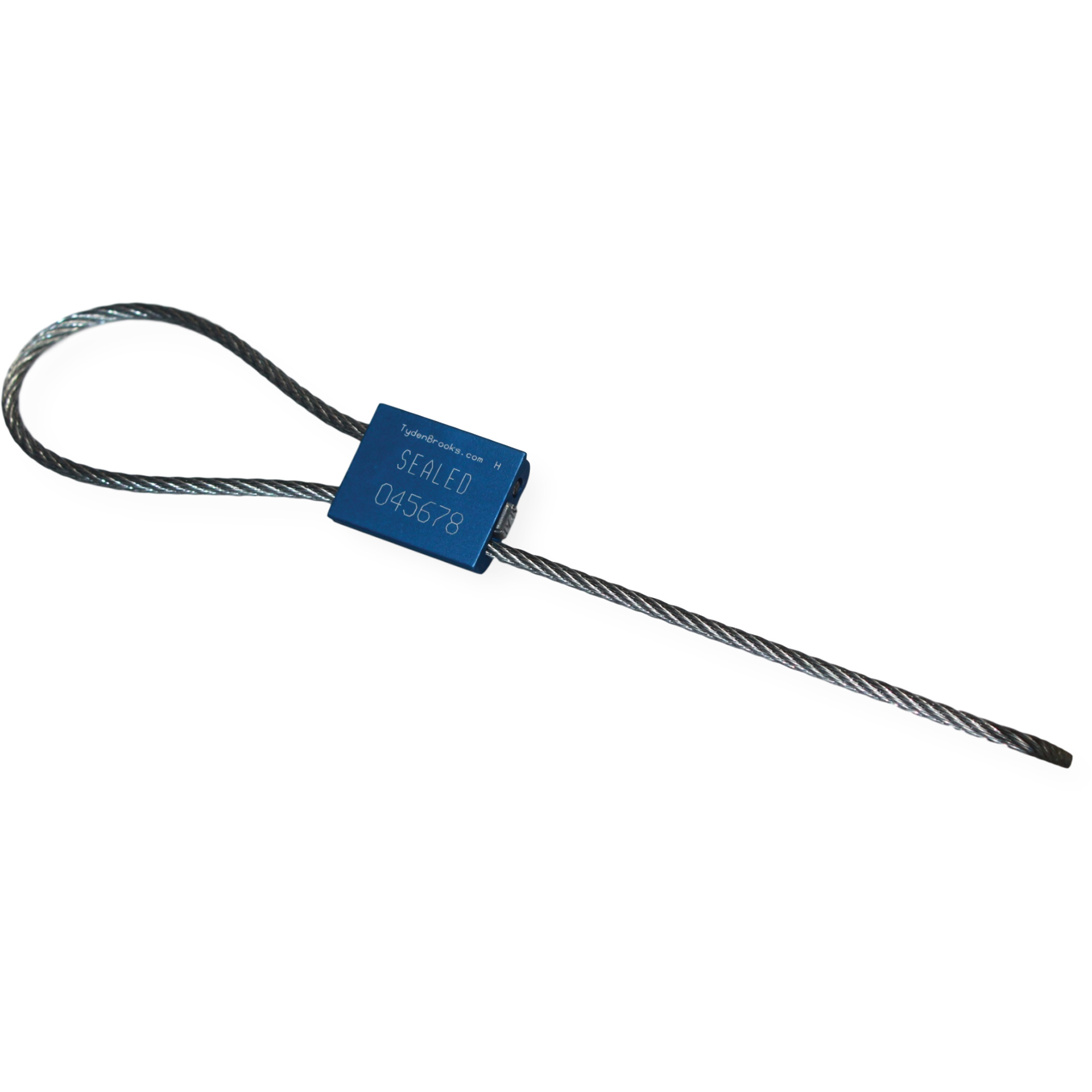 Scellé de sécurité à câble Flexsecure FS35, 12", Métal, Scellé à câble