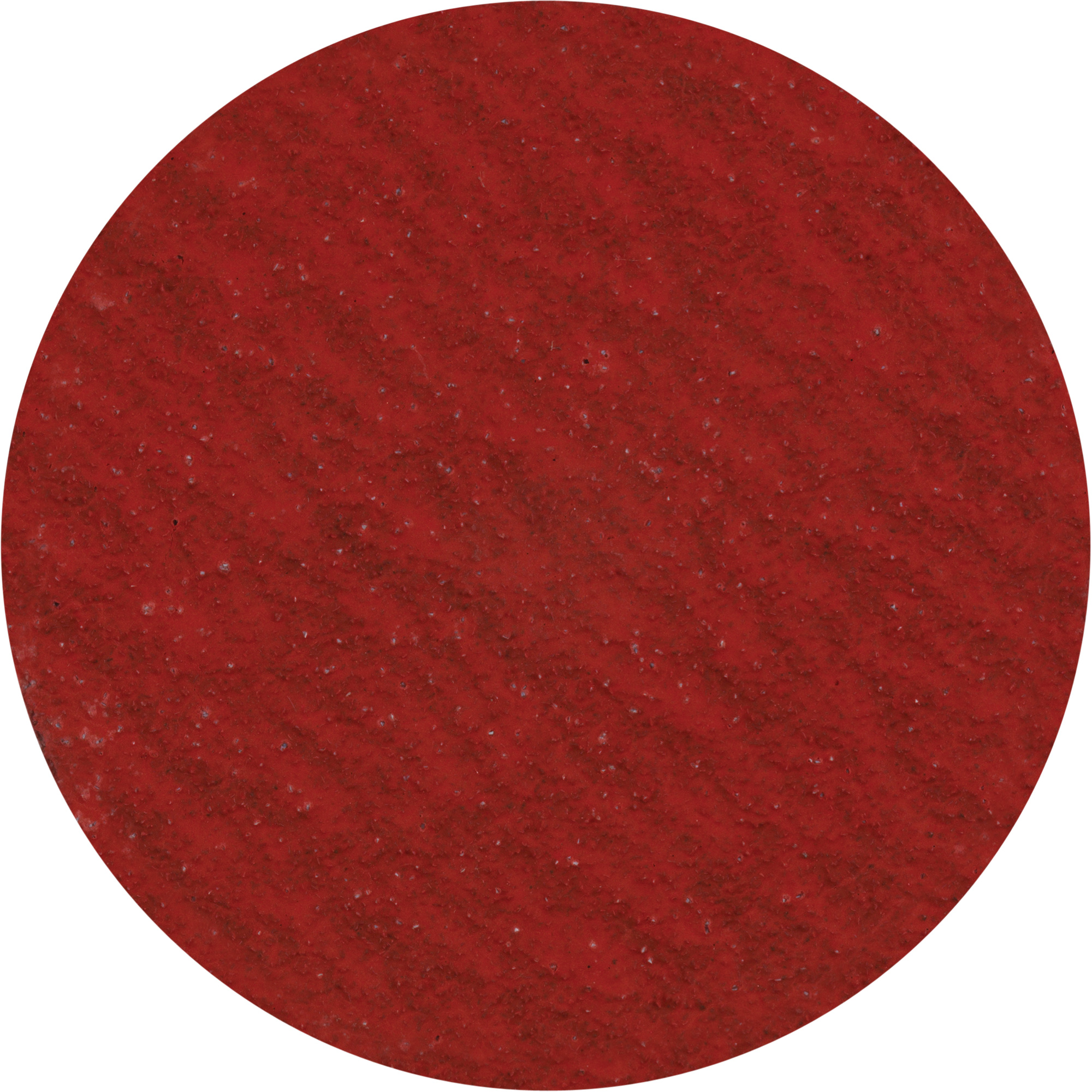 Disque de ponçage 3" à support verrouillable, 3" dia., Grain 36, Céramique