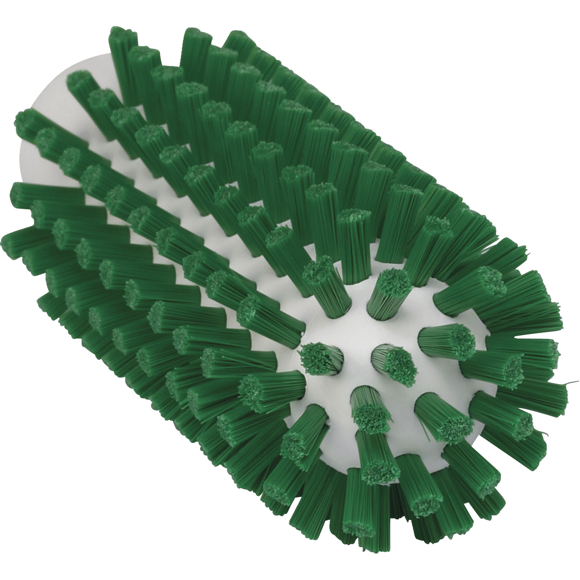 Brosse de 2", Soies Ferme, Longueur de 5-1/2", Vert
