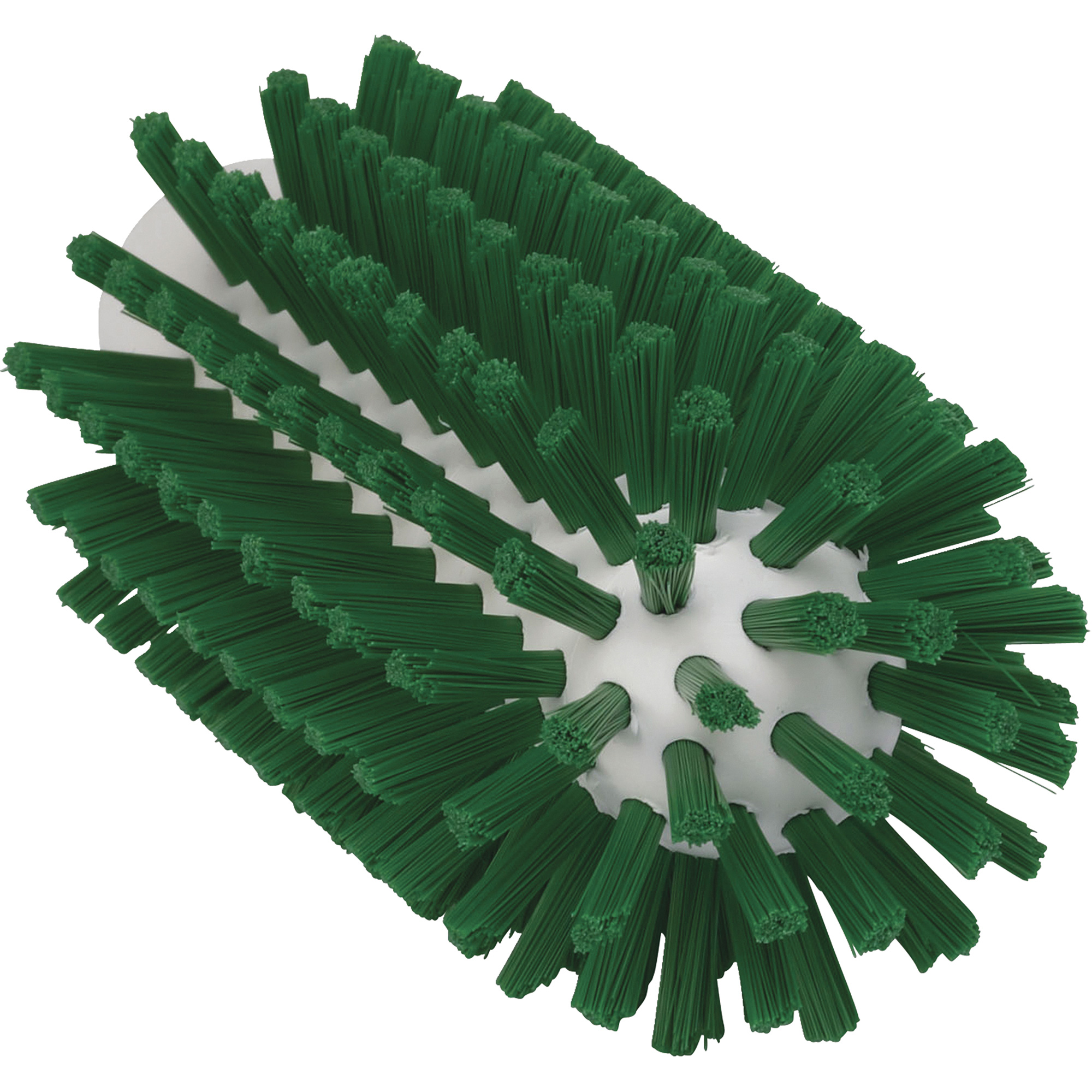 Brosse de 2,5", Soies Ferme, Longueur de 5-3/5", Vert