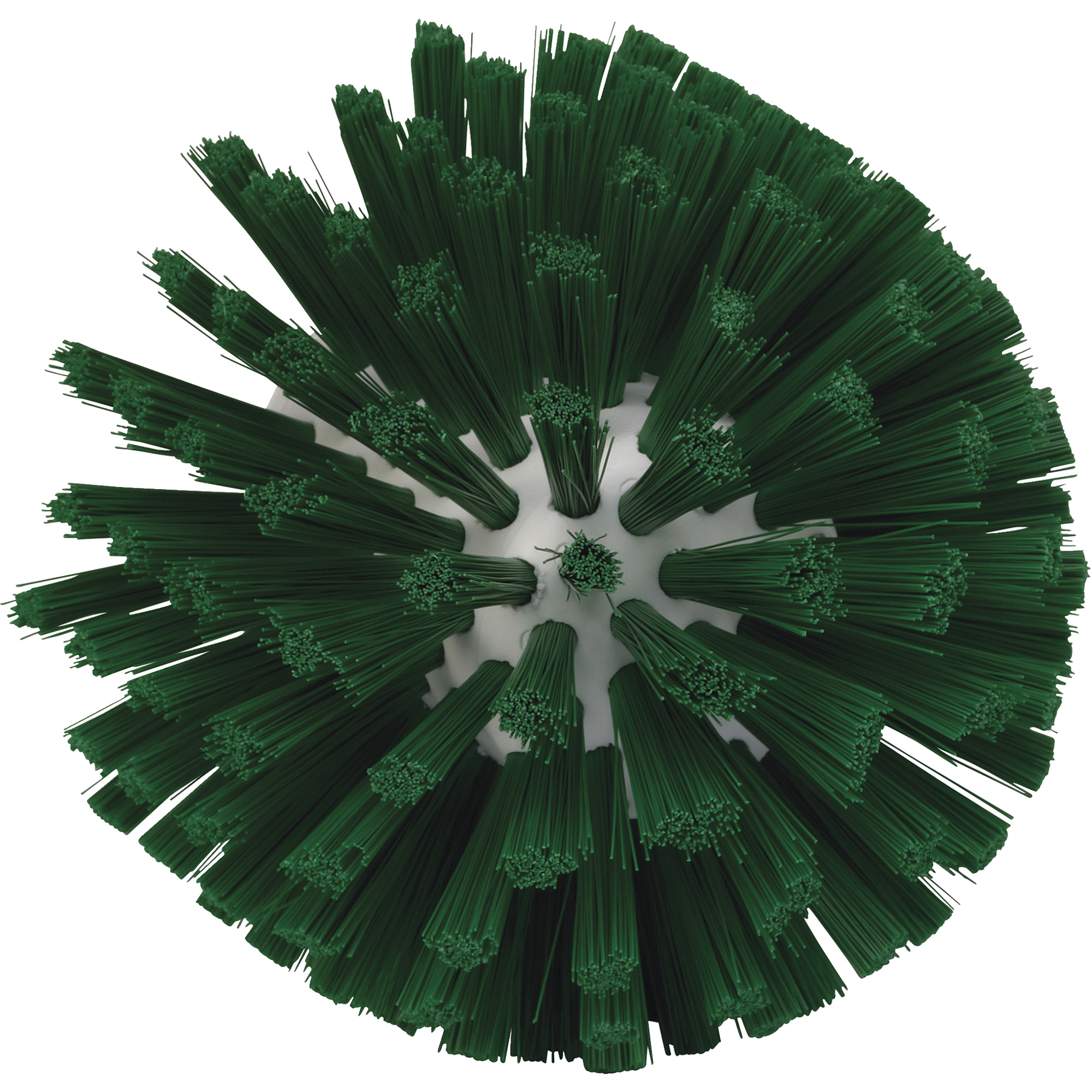 Brosse de 5", Soies Moyen, Longueur de 4-1/2", Vert