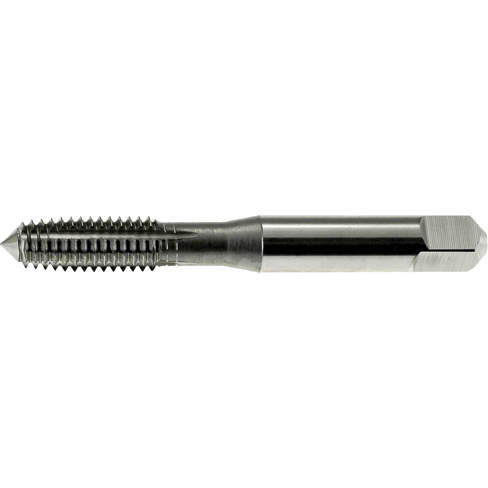 Taraud à former les filets DrillcoMD, Acier rapide, Filet 12-24