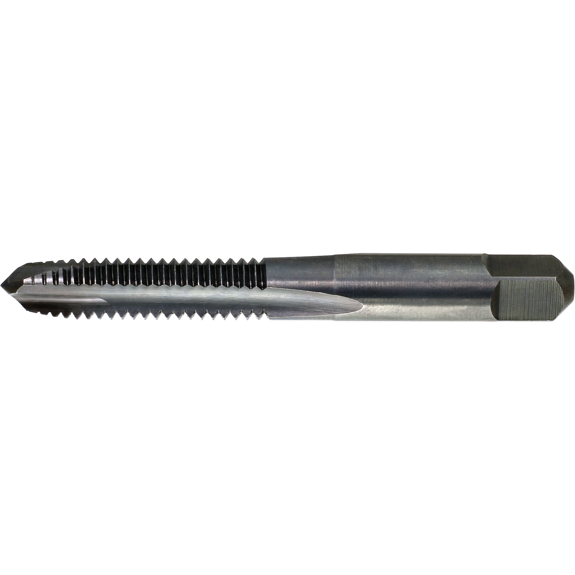 Taraud à pointe spiralée DrillcoMD, Acier rapide, Filet de 0-80, 1-5/8" l