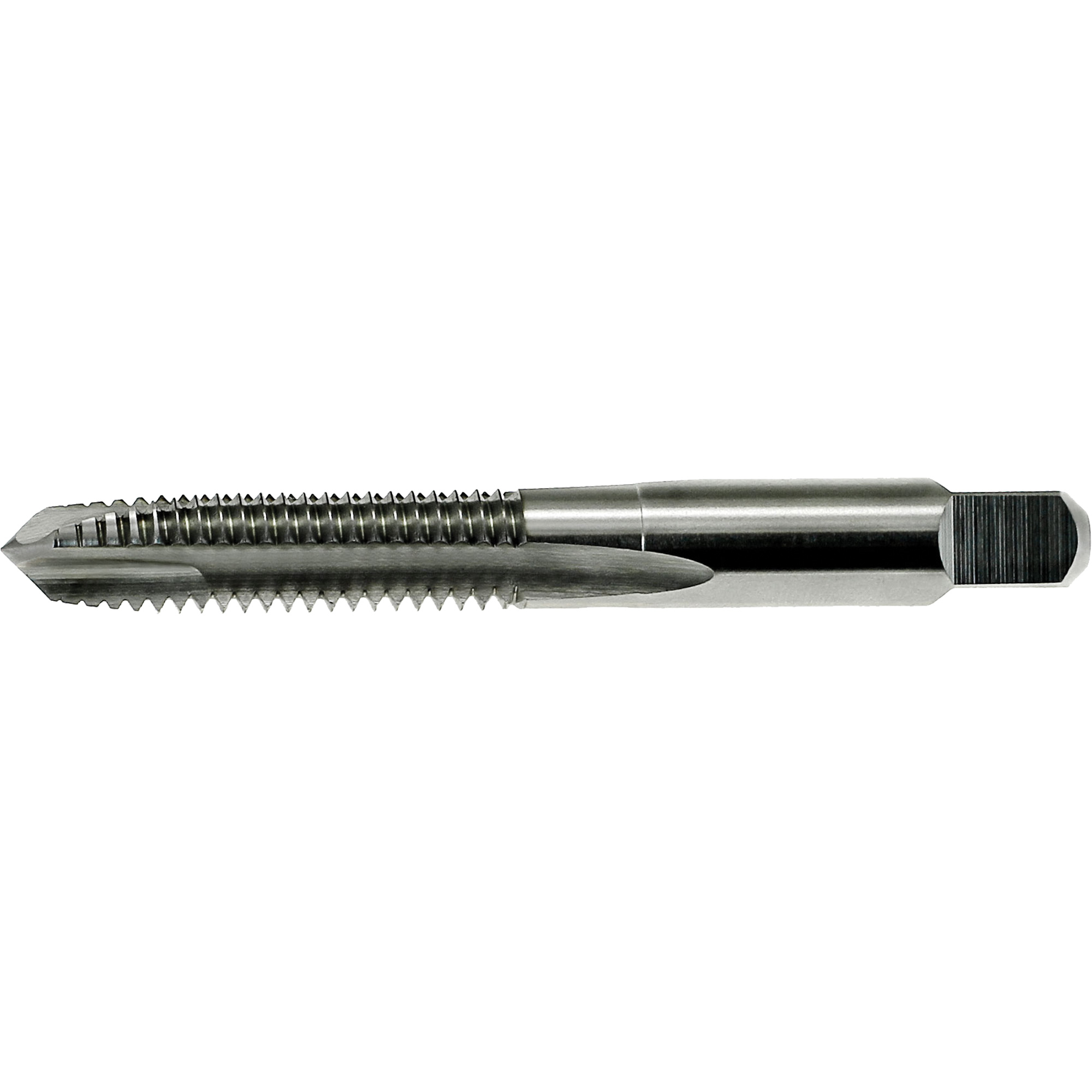 Taraud à pointe spiralée NitroMD DrillcoMD, Acier rapide, Filet de 3/4"-16, 4-1/4" l
